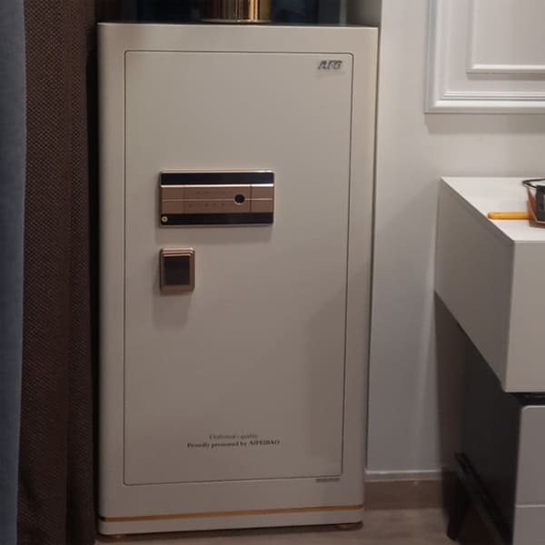 Két sắt Aifeibao HK-A1D-100-HM