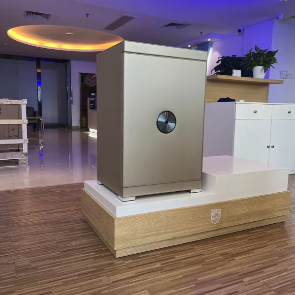 Két sắt Philips SBX602-5CU