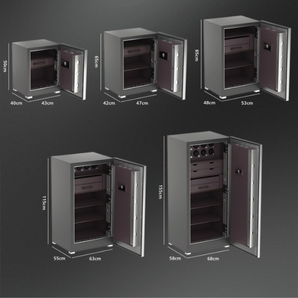 Két sắt Philips Valis 5BU màu xám